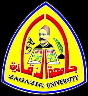 Zagazig_University